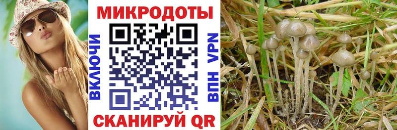 MEGA рабочий сайт  Красноперекопск  Псилоцибиновые грибы прущие грибы 