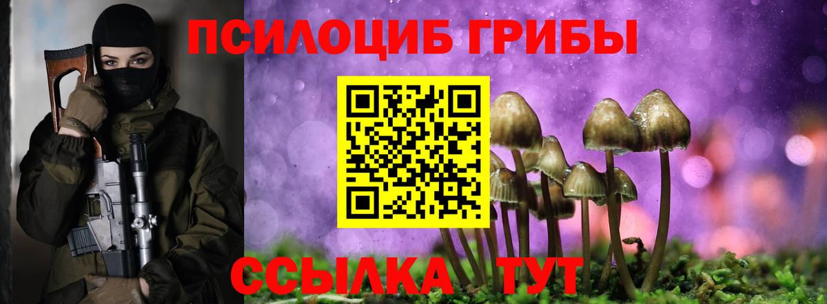 Галлюциногенные грибы Psilocybine cubensis Красноперекопск